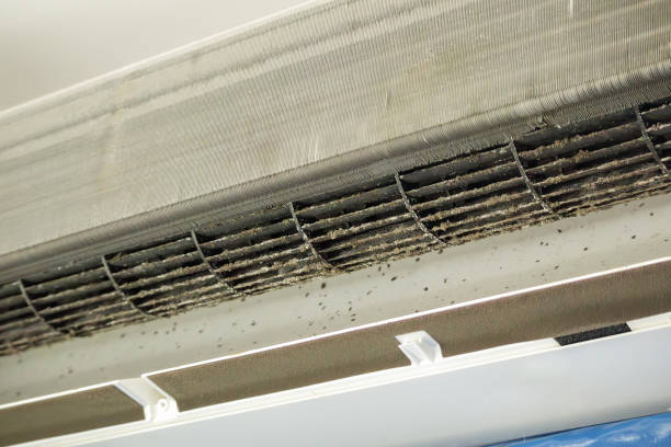 Best Air Vent Cleaning Services  in Manatee Road, FL